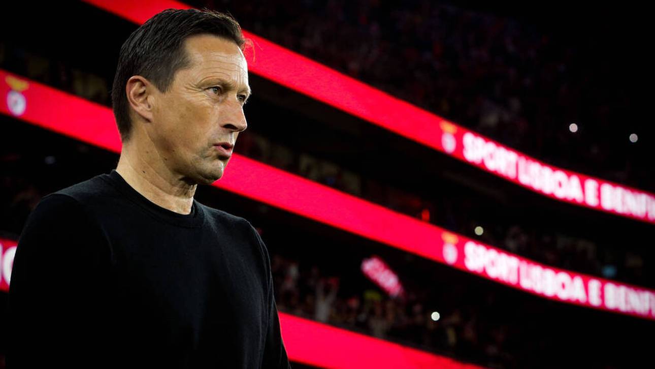 Benficas brachialer Baumeister