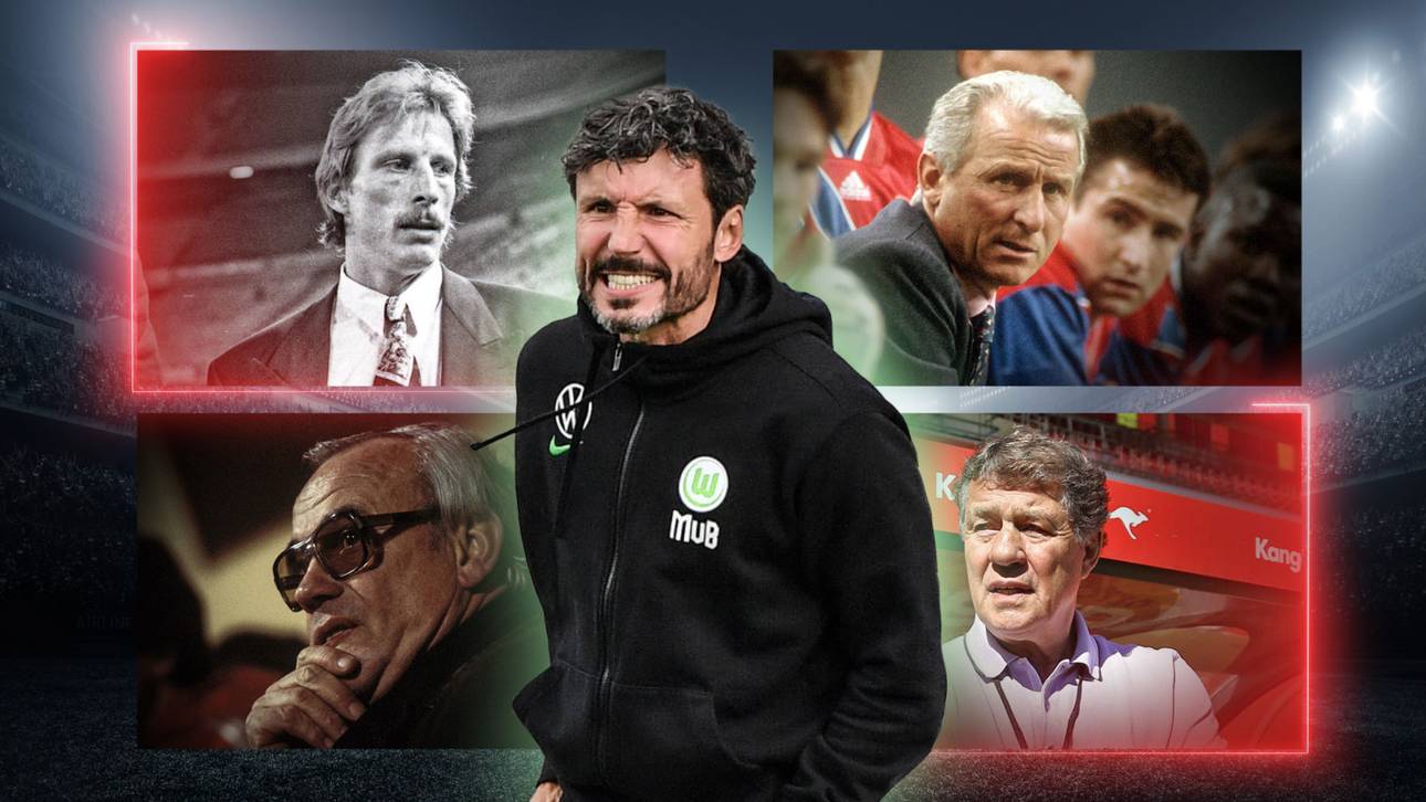 Das wurde aus van Bommels Vorgängern