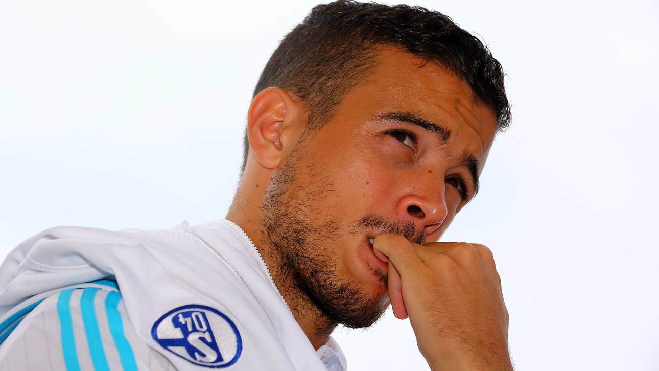 Breitenreiter zählt Di Santo an