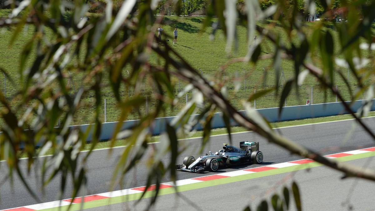 Auch wenn es hier so aussehen mag: Die Formel-1-Fahrer müsen sich im Qualifying nicht durch einen Dschungel kämpfen
