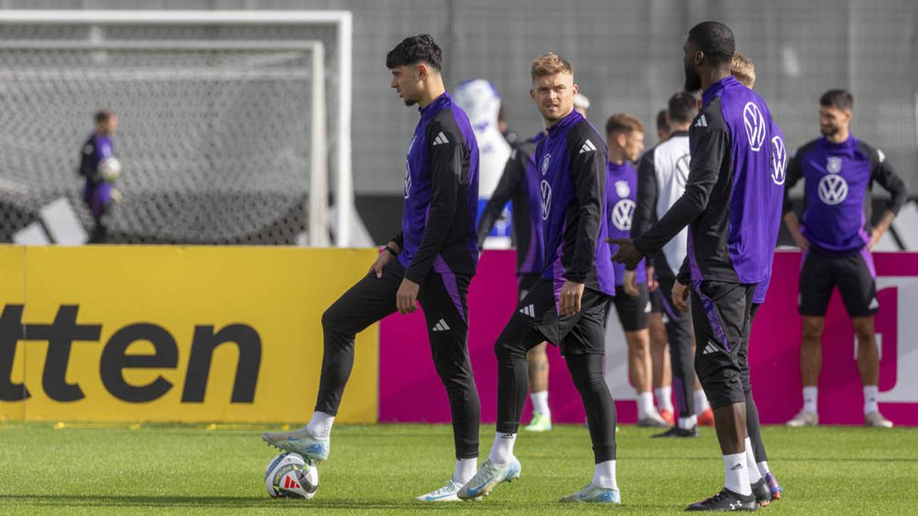 Neuigkeiten bei Pavlovic