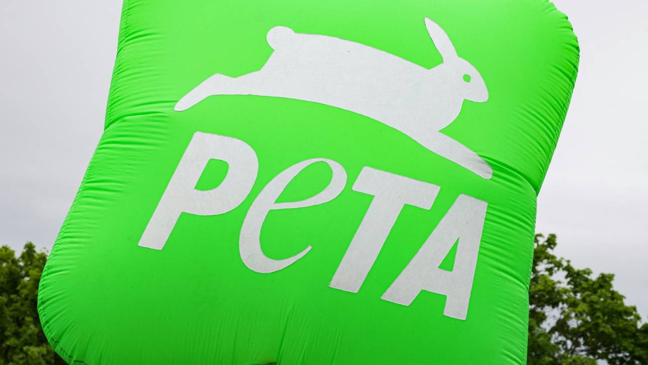 PETA kritisiert FEI-Entscheidung