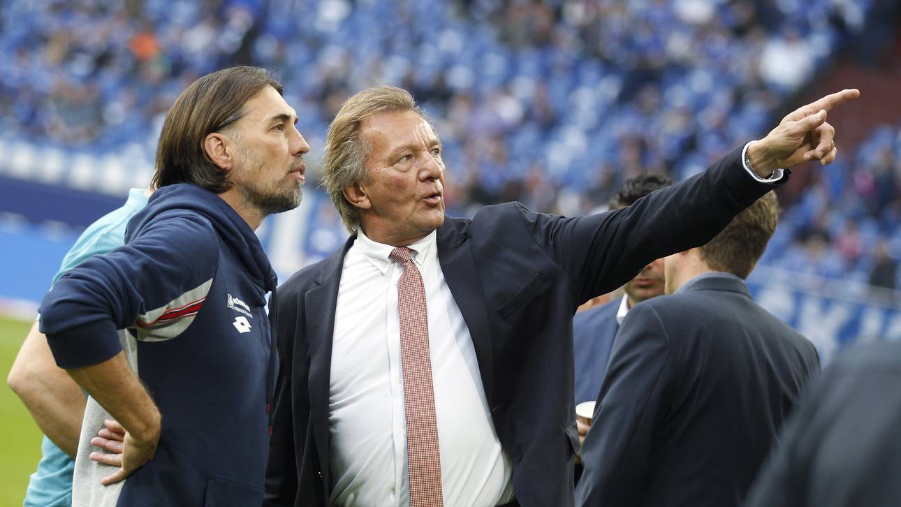 Mainz 05 erwartet Rekordumsatz