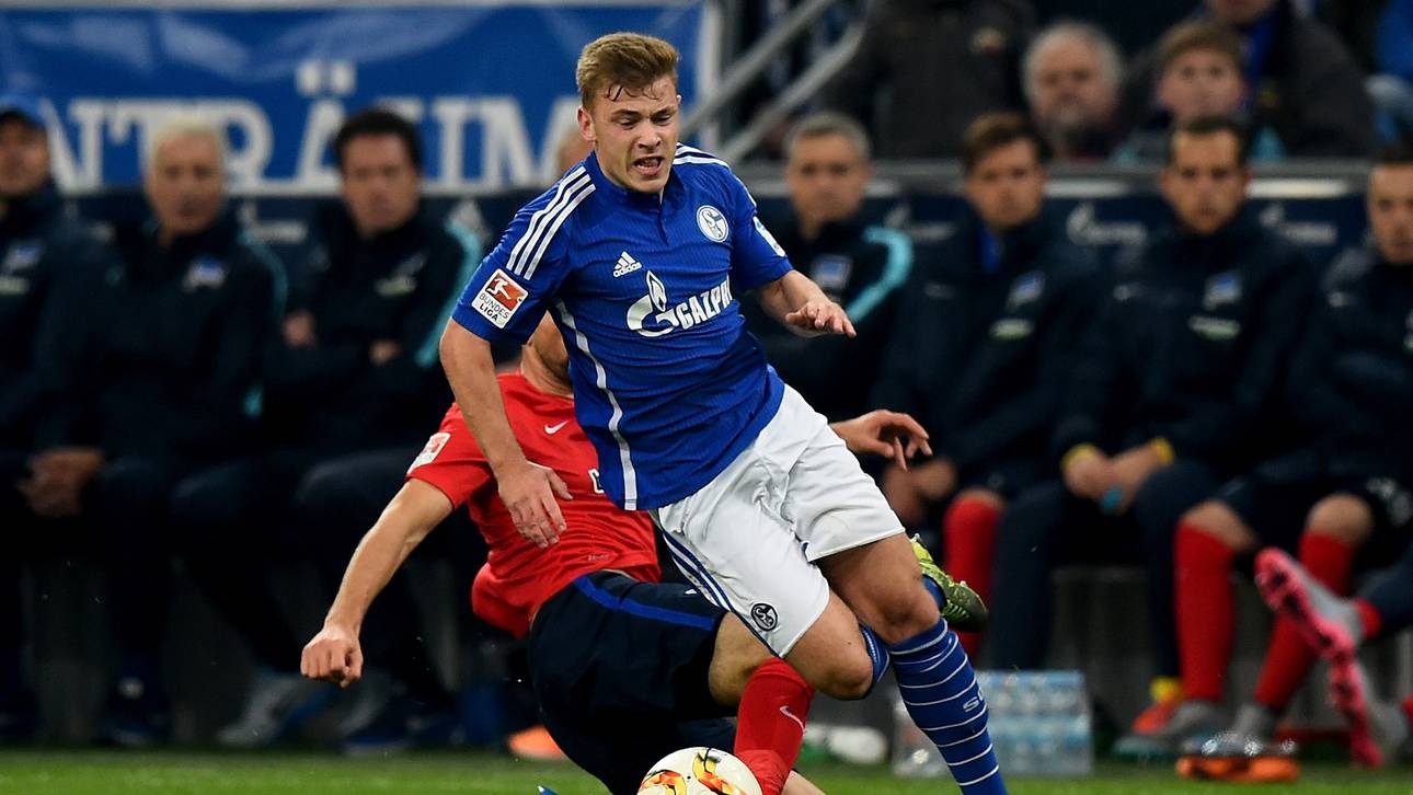 Harte Strafe für Herthas Ibisevic