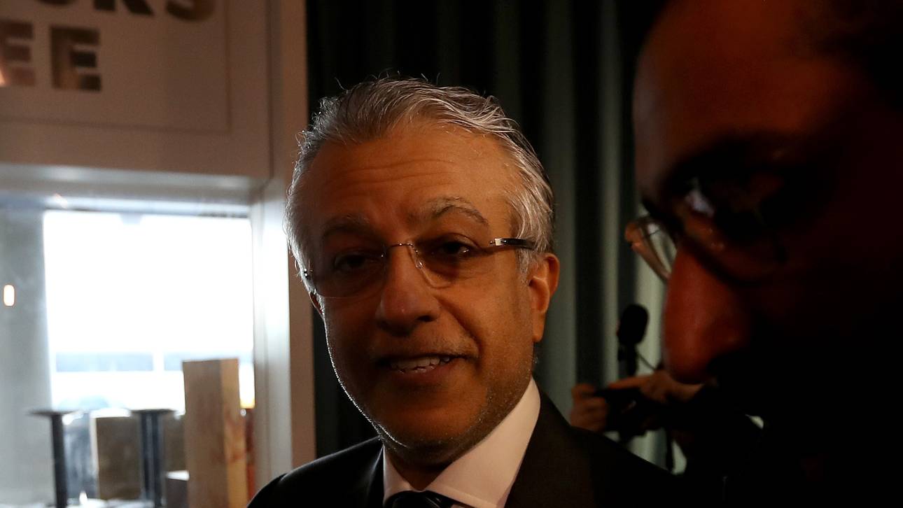 Salman: Berichte „politisches Werkzeug“