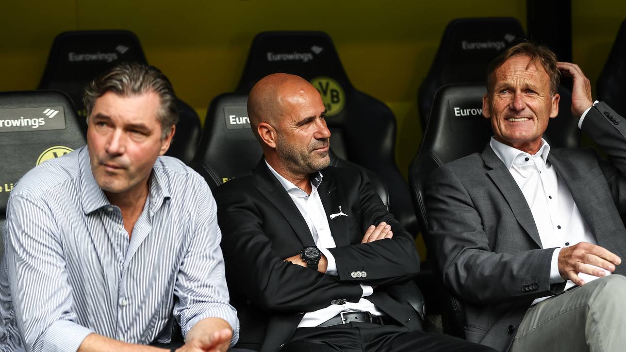 BVB wehrt sich gegen Kritik