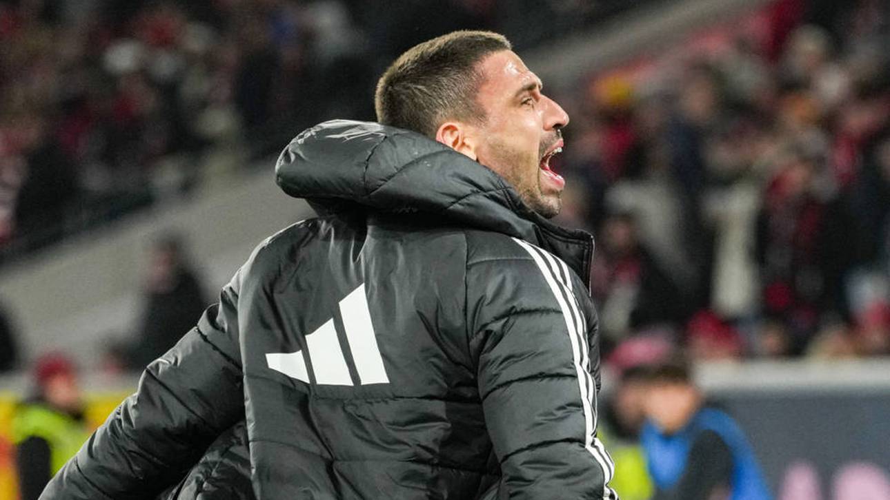 Bundesliga-Quartett fährt mit zur WM