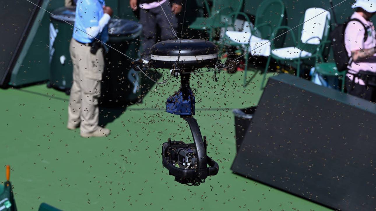 Bienenschwarm: Zverev-Match unterbrochen