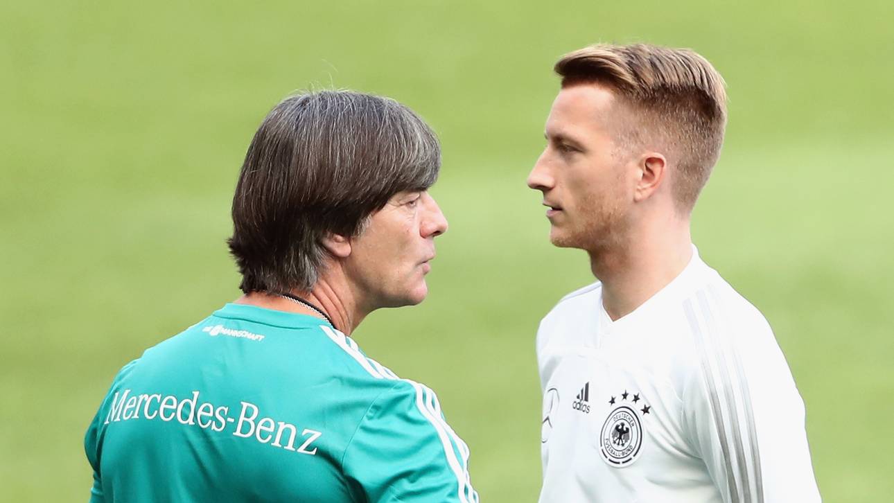 Reus gibt Löw Rückendeckung