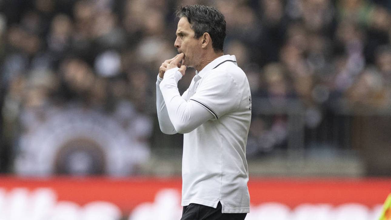 Deutsche Erfolgsgeschichte in Georgien