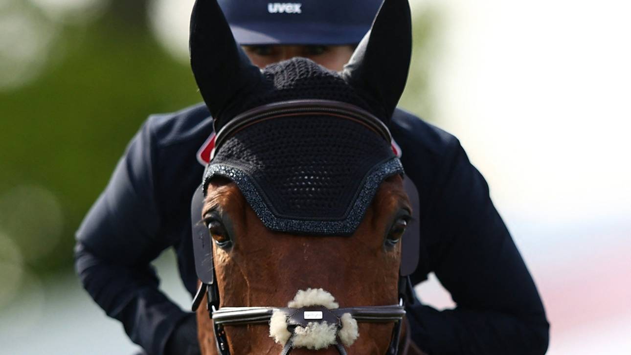 Reiten: Generalsekretär Lauterbach verlässt FN zum Jahresende
