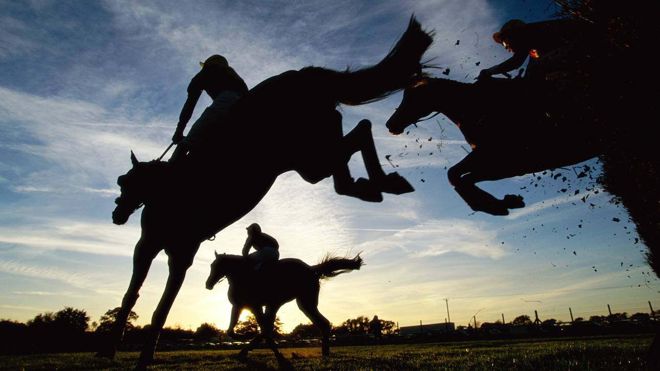 Ephraim gewinnt in Hoppegarten