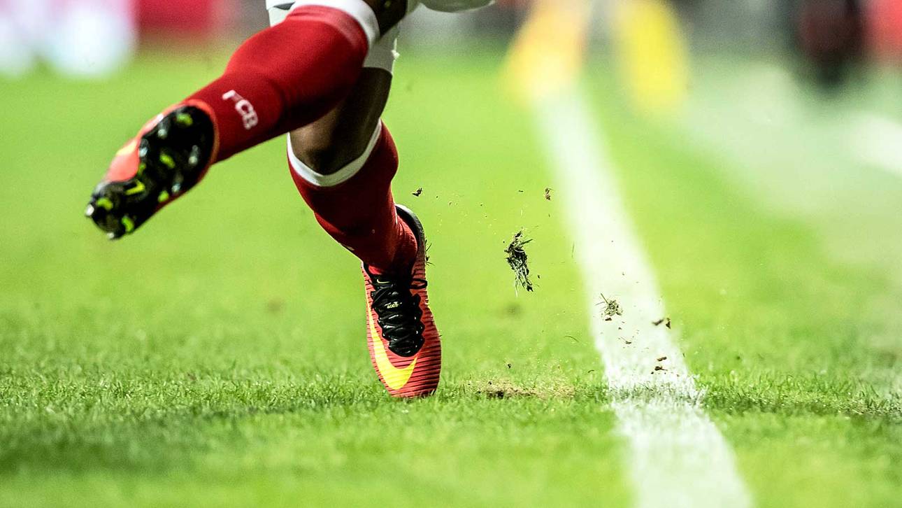 Pilzbefall in der Allianz Arena