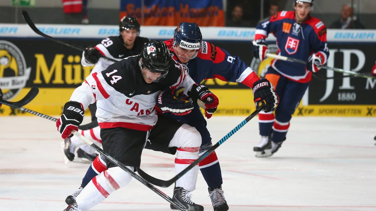 Grizzlys Wolfsburg holen Dixon