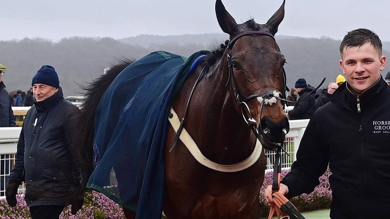 Tragödie bei Reitsport-Klassiker