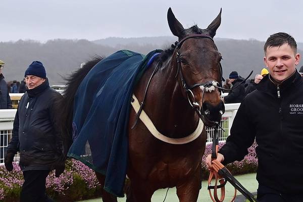 Drei Pferde tot! Tragödie bei Reitsport-Klassiker