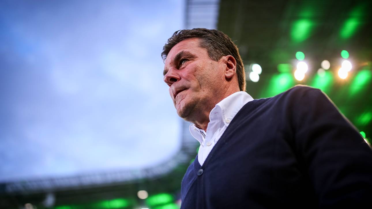 Hecking: „Warum nicht DFB-Coach?“