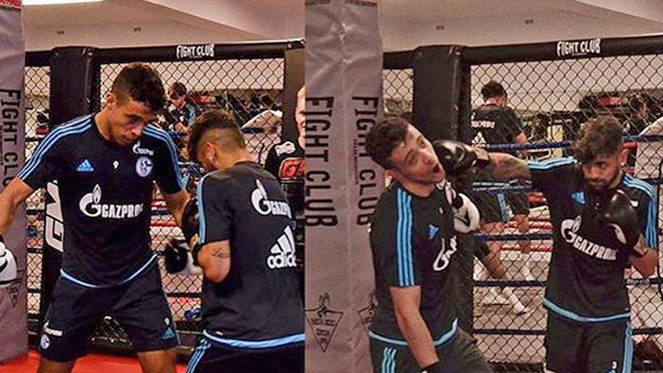 Bei Schalke fliegen die Fäuste