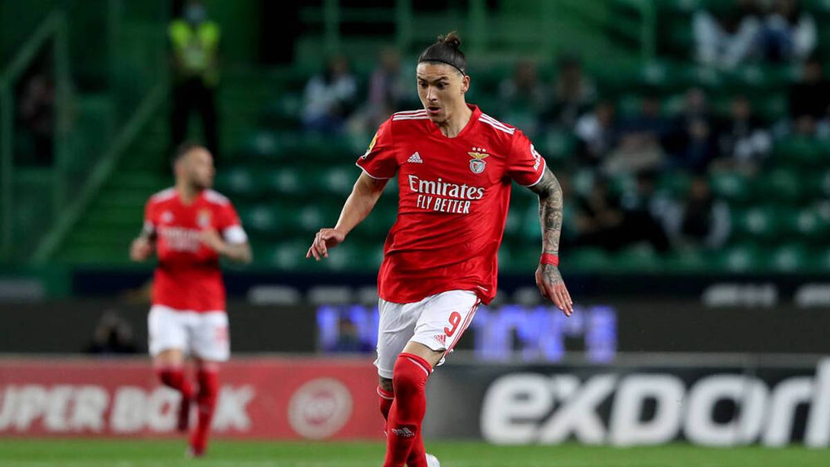 Mitten in der Nacht! Benfica verkündet Nunez-Hammer