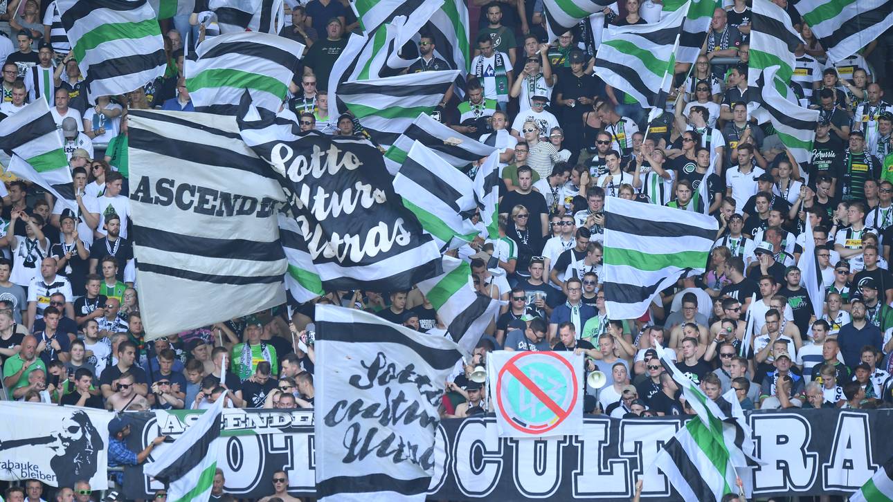 Gladbach-Fans plündern Supermarkt