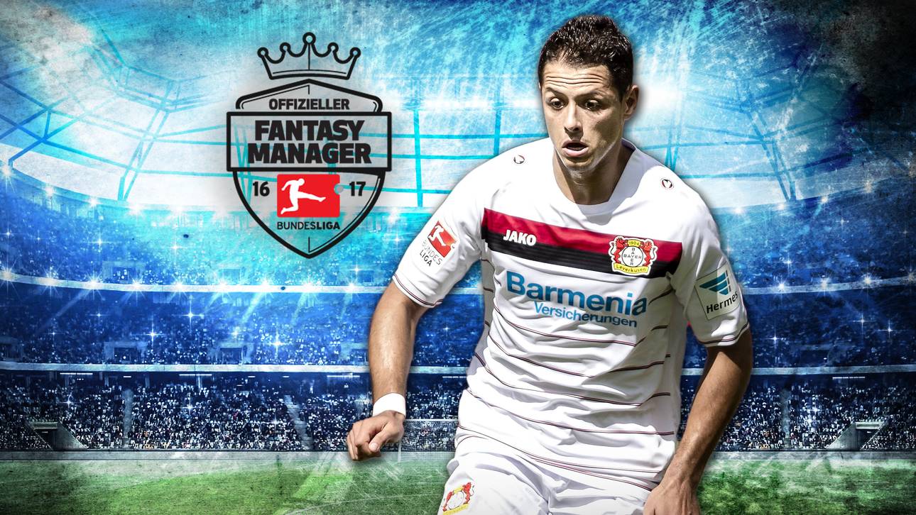 Kleine Erbse mit großer Ausbeute