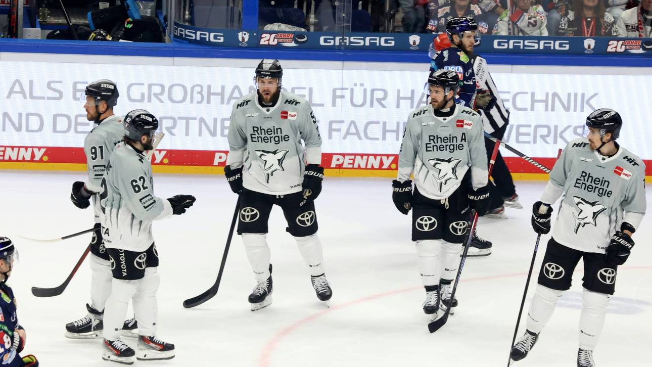 Haie wollen Reaktion zeigen