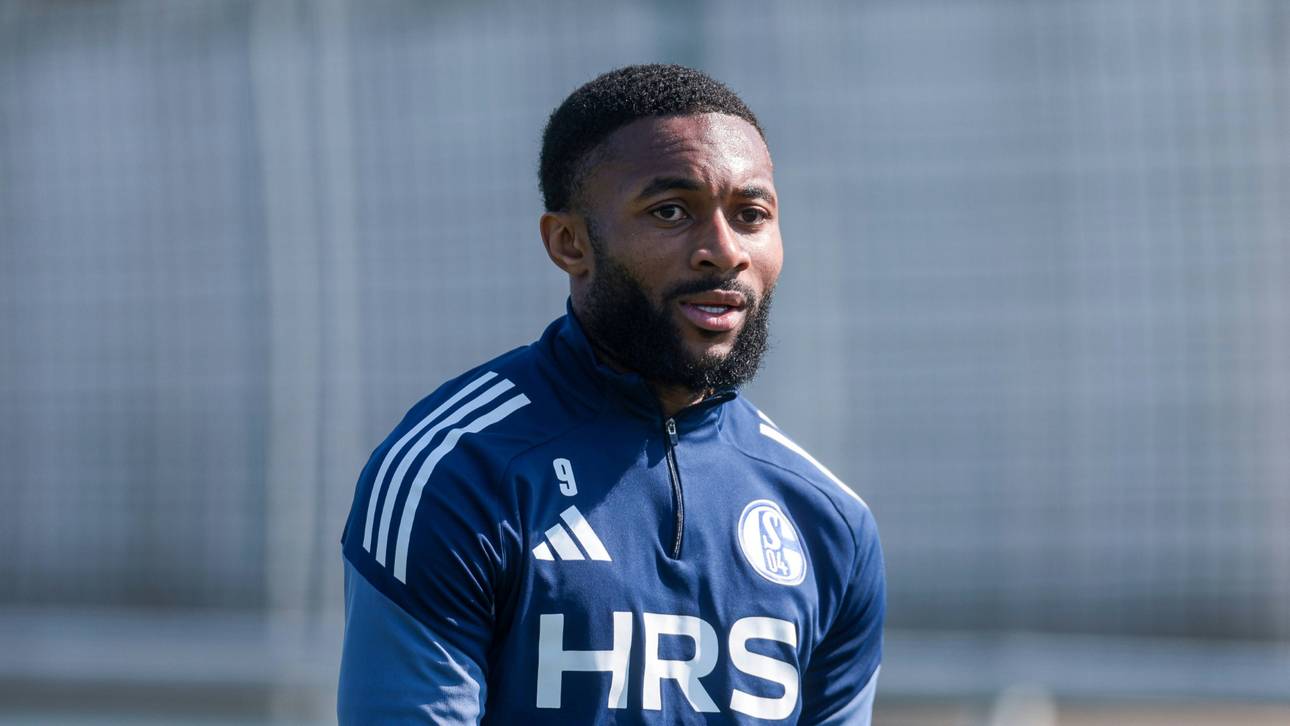 Schalke: So soll Dzeko ersetzt werden