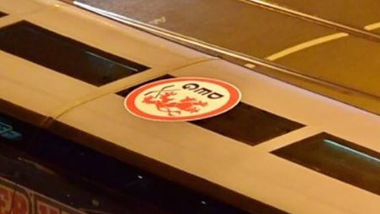 Haie versteigern DEG-Aufkleber