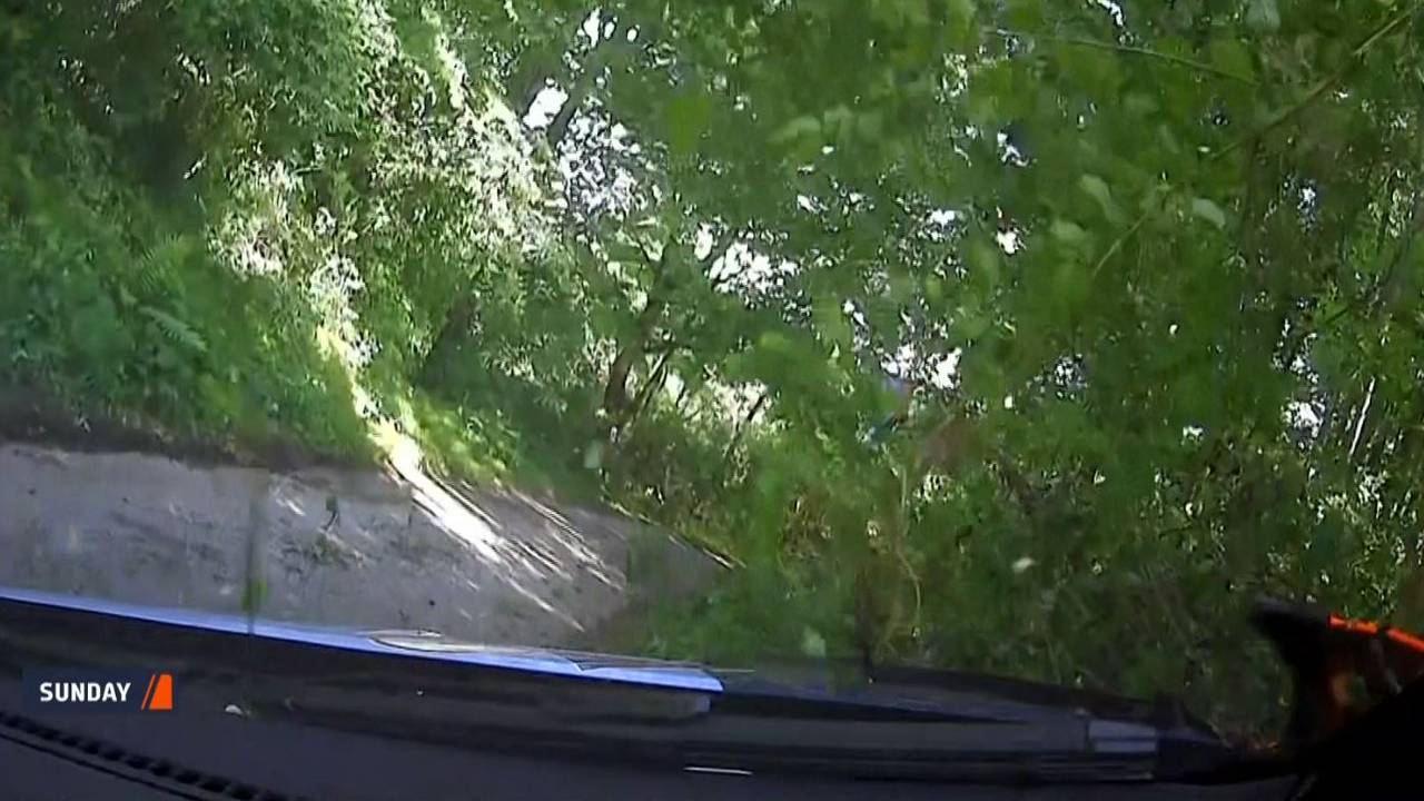 WRC: Sebastien Ogier siegt nach Drama bei Rallye Kroatien