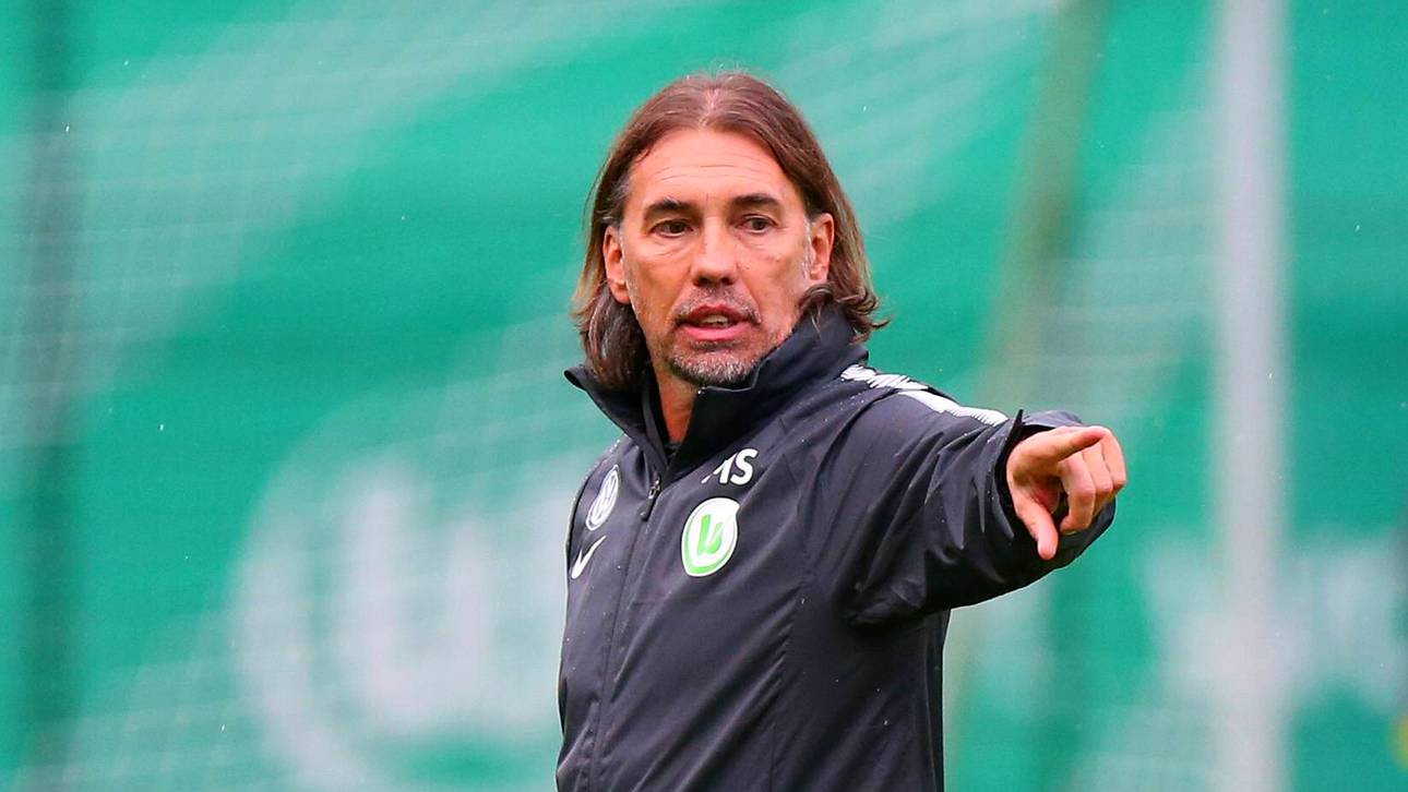 Schmidts Pläne mit den Wölfen