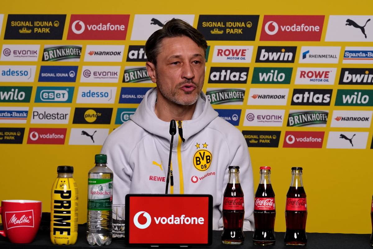 Süle? "Ich weiß, was der Niki kann"