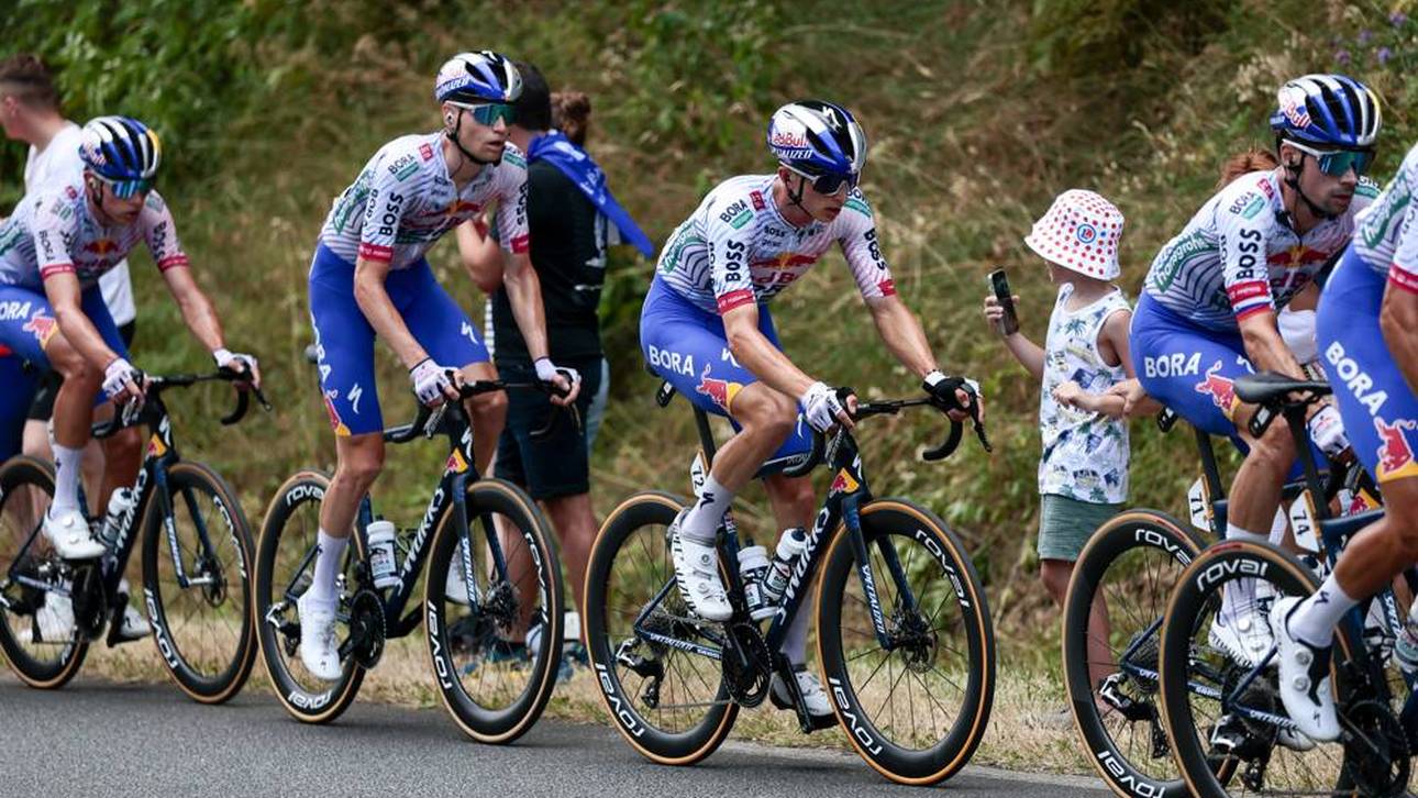 Fluch oder Segen fürs Lipowitz-Team?