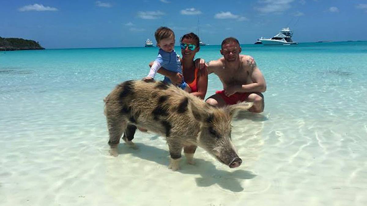 Der Stürmerstar von Manchester United mag es tierisch. Wobei das Plantschen mit diesem Vierbeiner gar nicht so geplant ist. "Hätte nicht gedacht, dass ich auf den Bahamas Schweine im Meer treffe", schreibt er auf facebook. Doch auf den Bahamas ist das normal. Es handelt sich um die dort ansässigen Wasserschweine