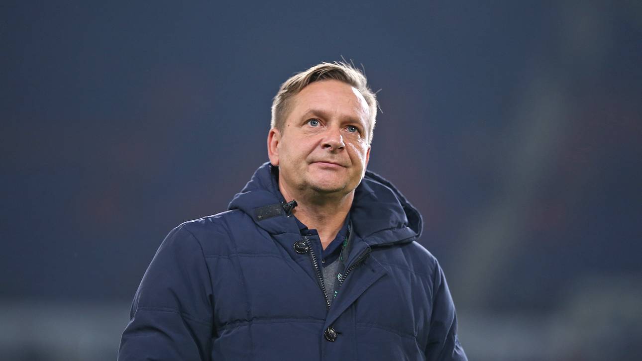 DFB ermittelt wegen Heldt-Aussagen