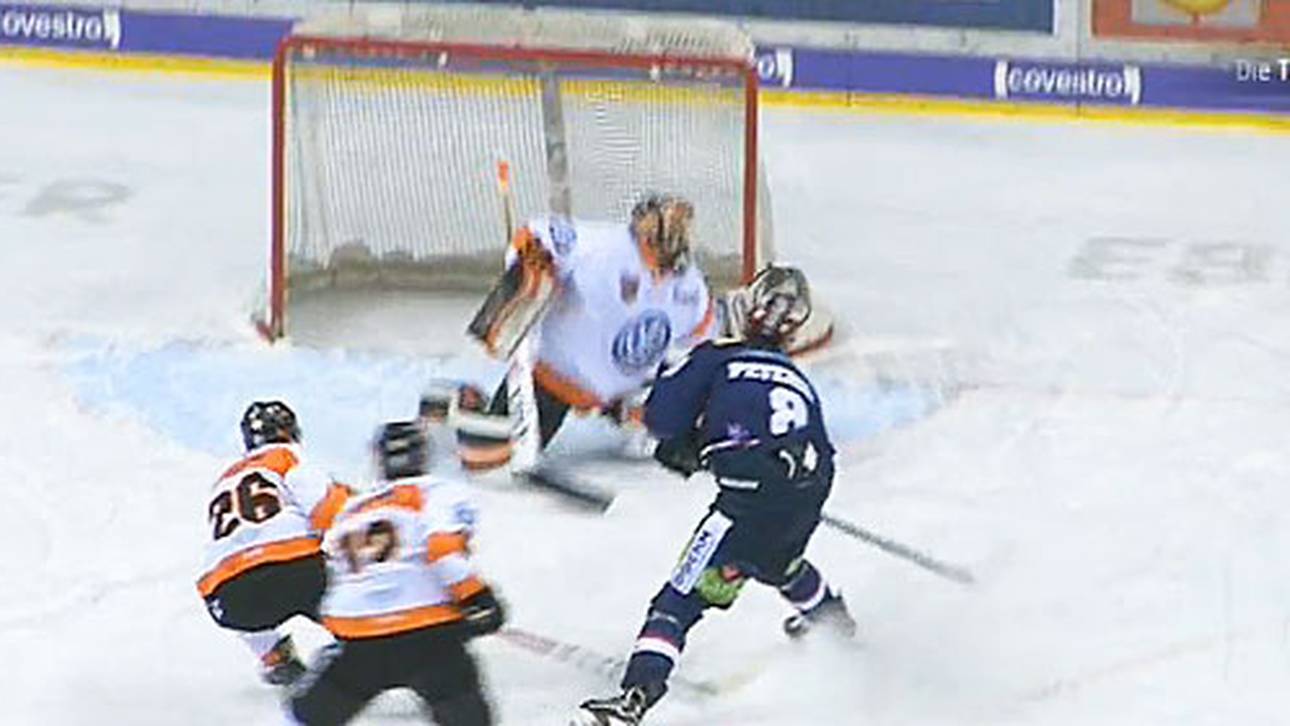 Eisbären führen Grizzlys vor