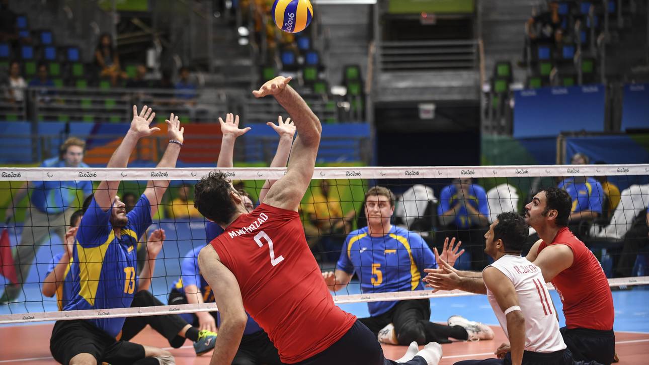 Schmetter-Riese sorgt für Furore