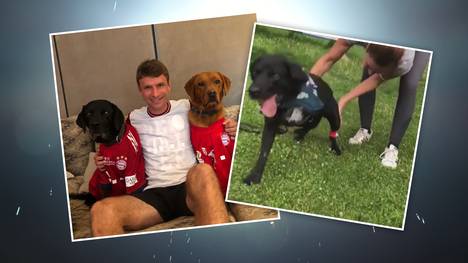 Thomas Müller und seine Frau Lisa sind große Tierliebhaber. Ihre Hündin Micky musste jetzt einen schweren Schicksalsschlag wegstecken.