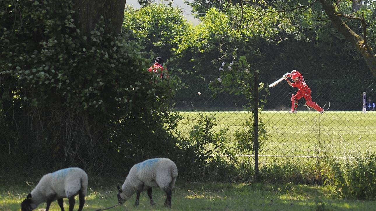 Cricket-Spiel zwischen Dänemark und Deutschland