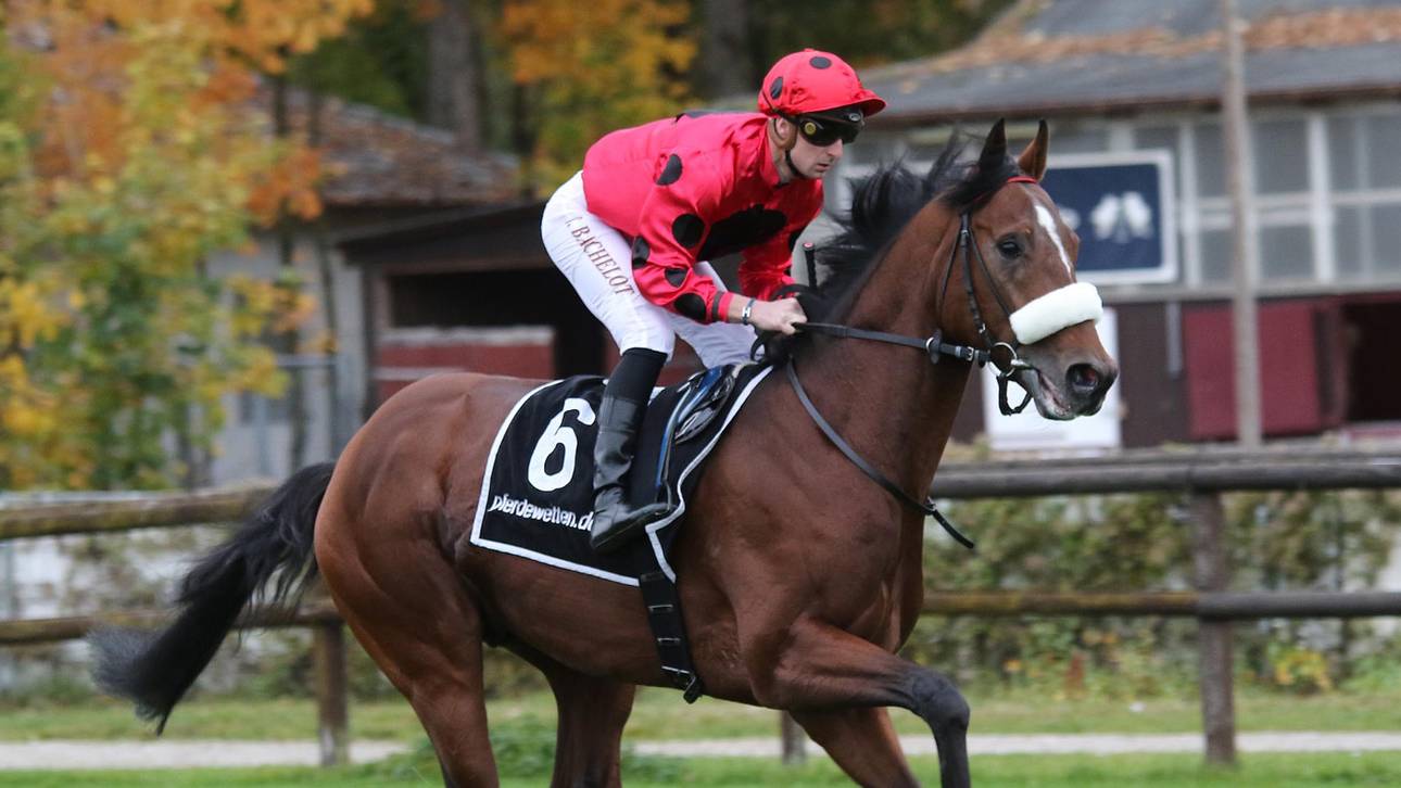 Ashrun schafft Last-Minute-Quali