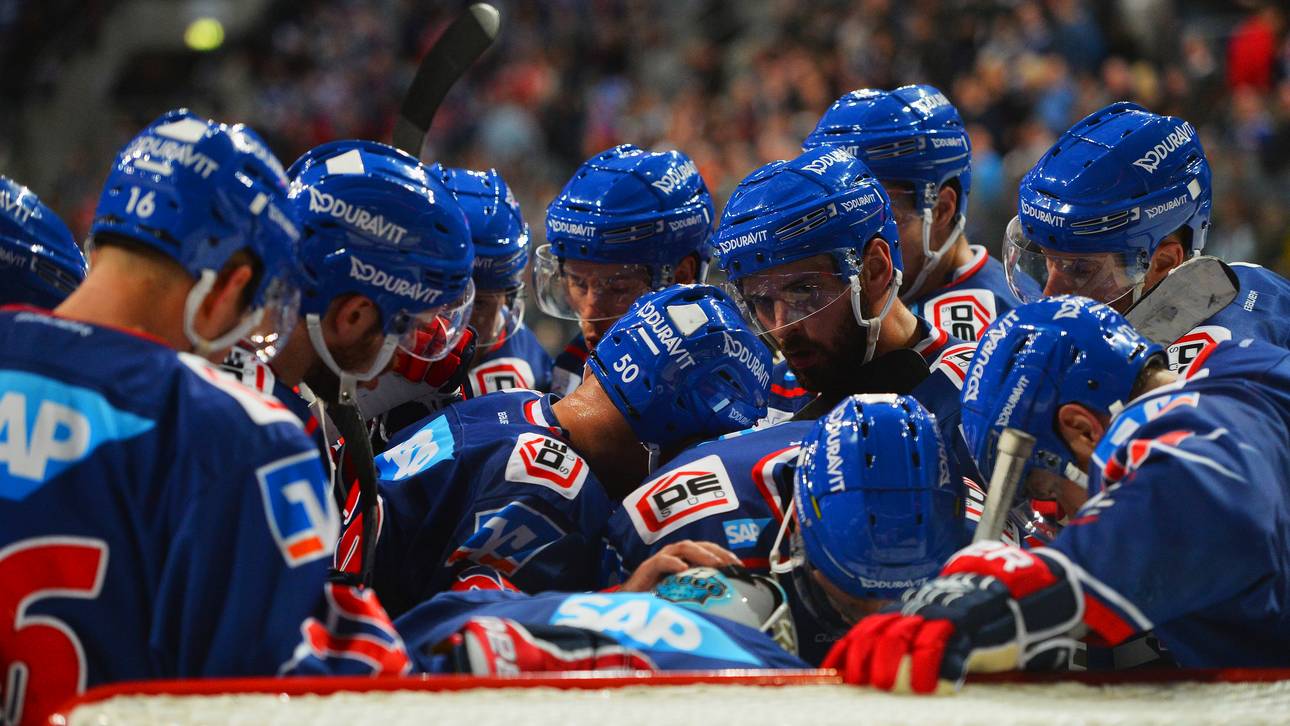 Wild Wings – Adler LIVE auf SPORT1