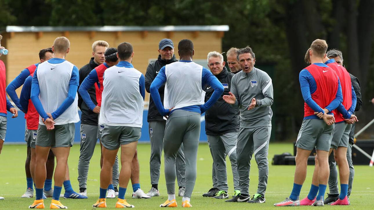 Hertha gegen PSV LIVE auf SPORT1