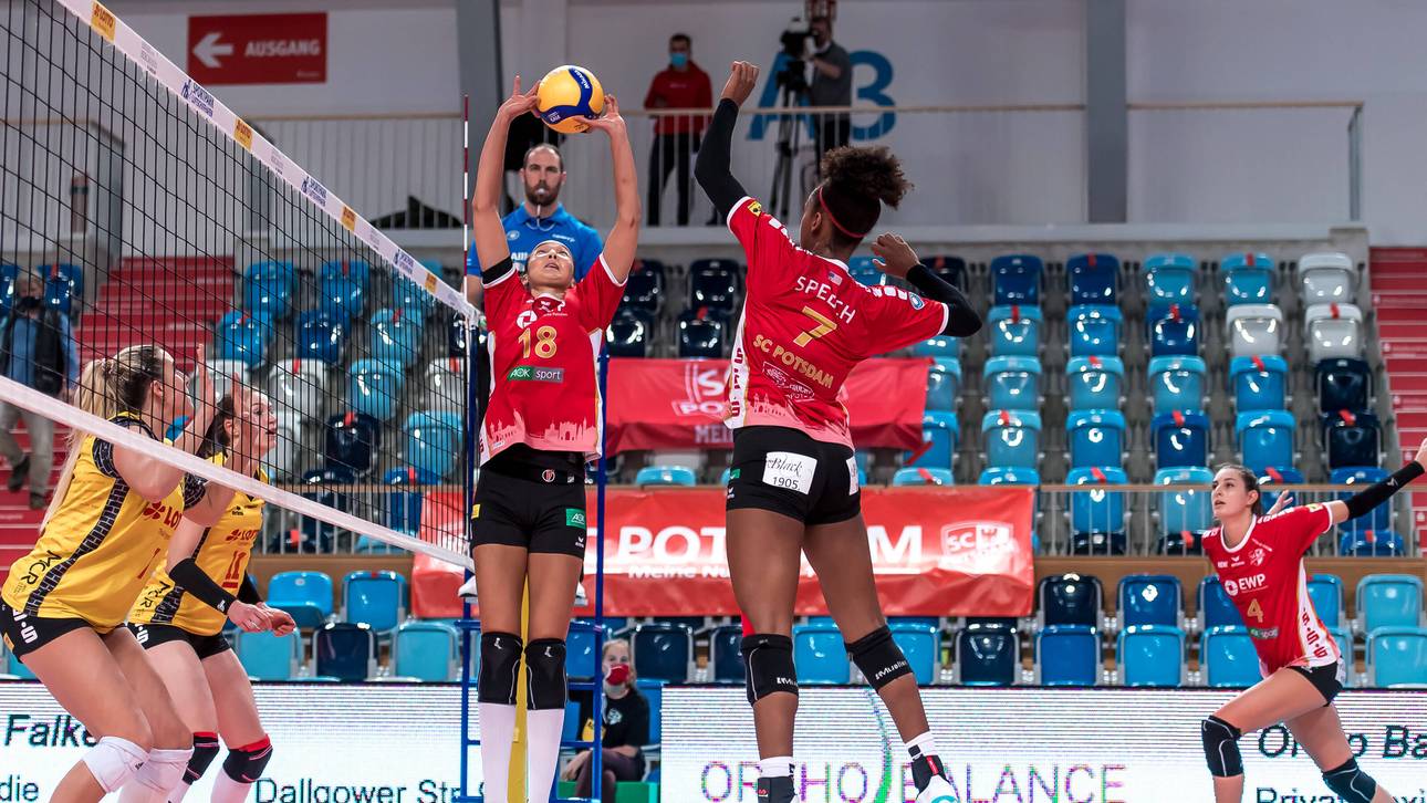 Zoff! SC Potsdam erwägt Rückzug