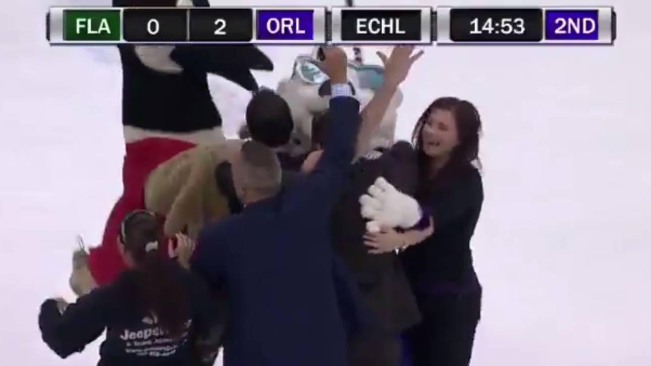 Kunstschuss macht Eishockey-Fan reich