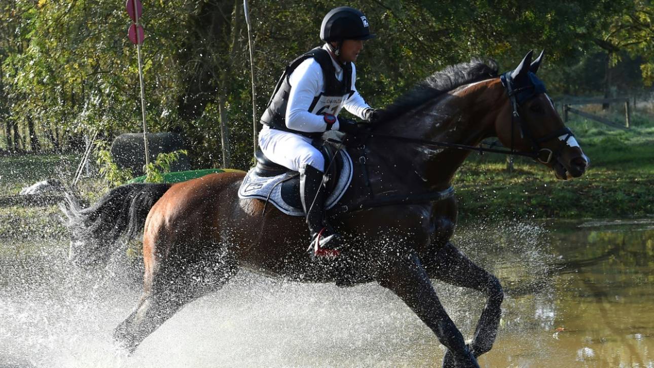 Olympiasieger Jung deutscher Meister im Vielseitigkeitsreiten