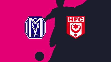 SV Meppen - Hallescher FC: Tore und Highlights | 3. Liga