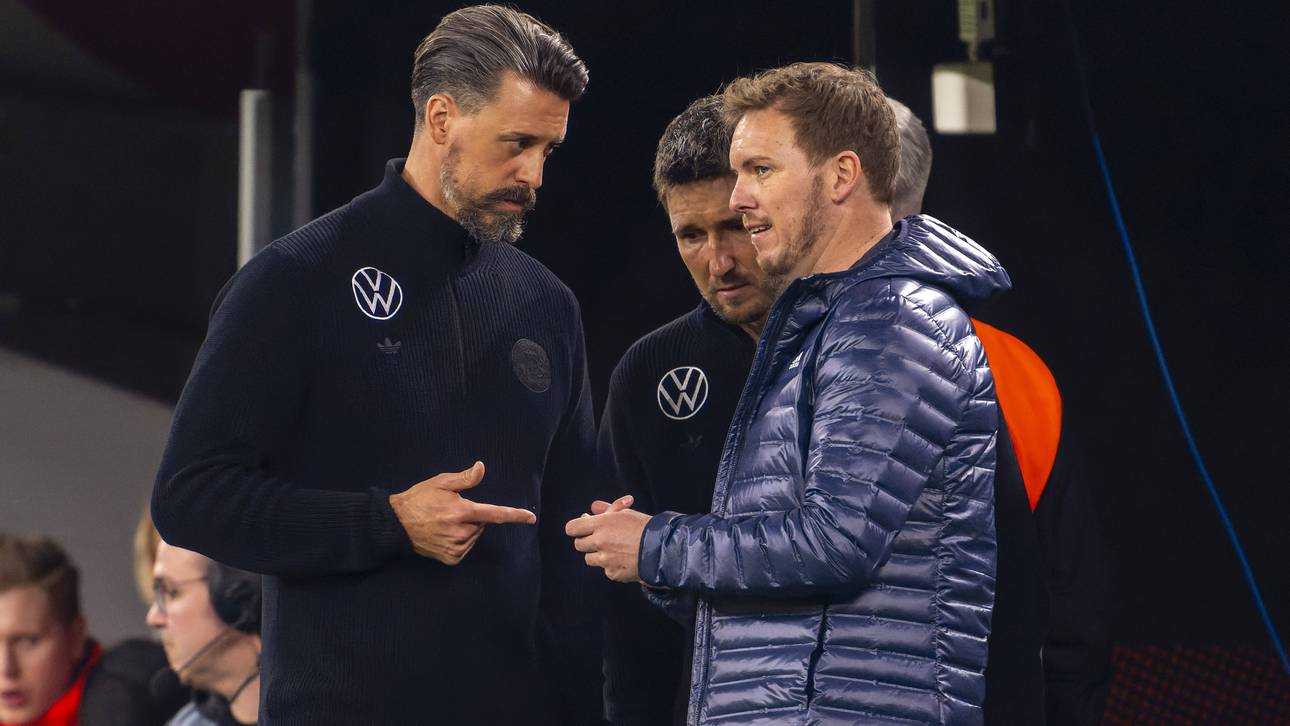 Sandro Wagner (l.) wird den DFB im Sommer verlassen