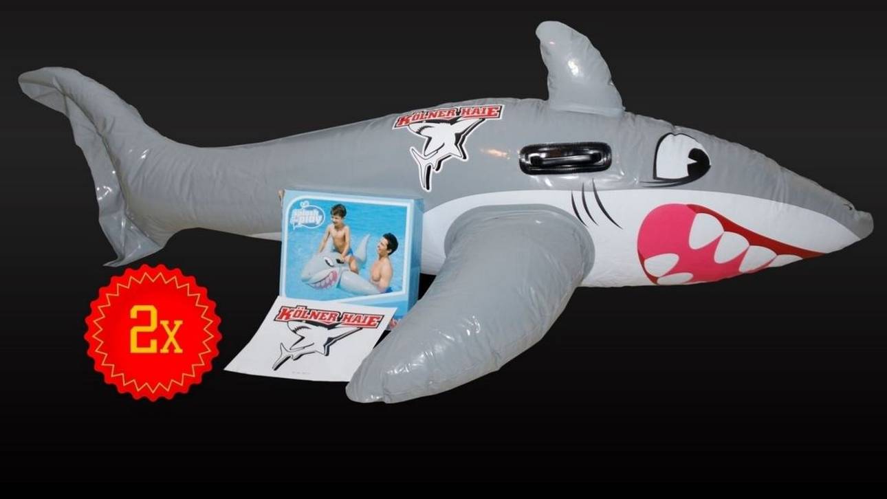 Düsseldorf versteigert „Kölner Haie“