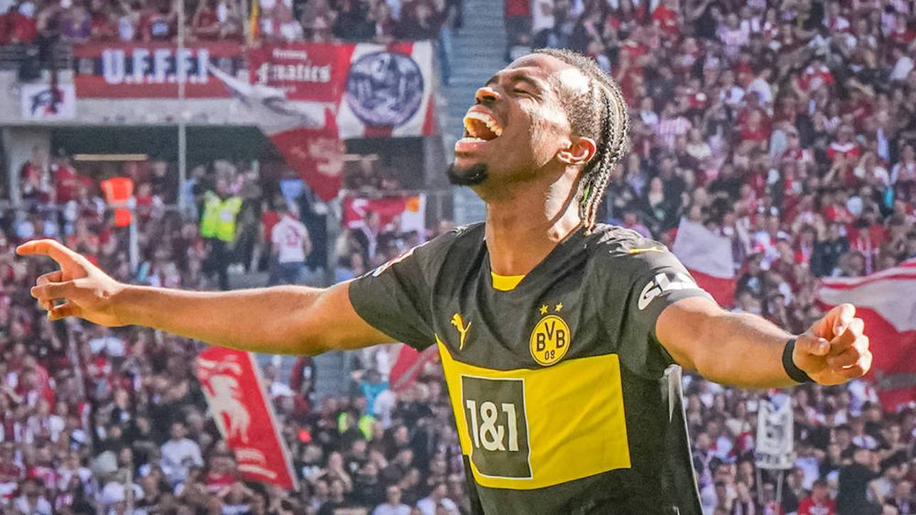 Entwicklung erinnert an Sancho