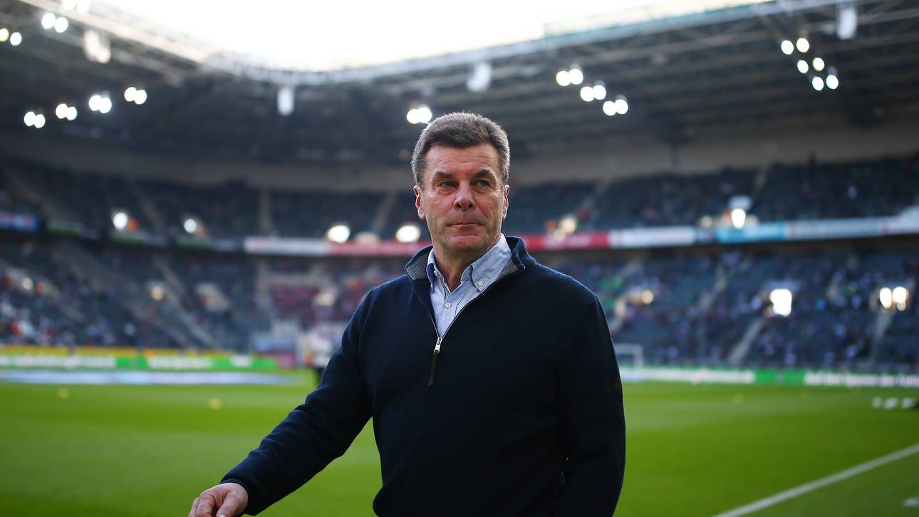 Hecking: Videobeweis vor Aus