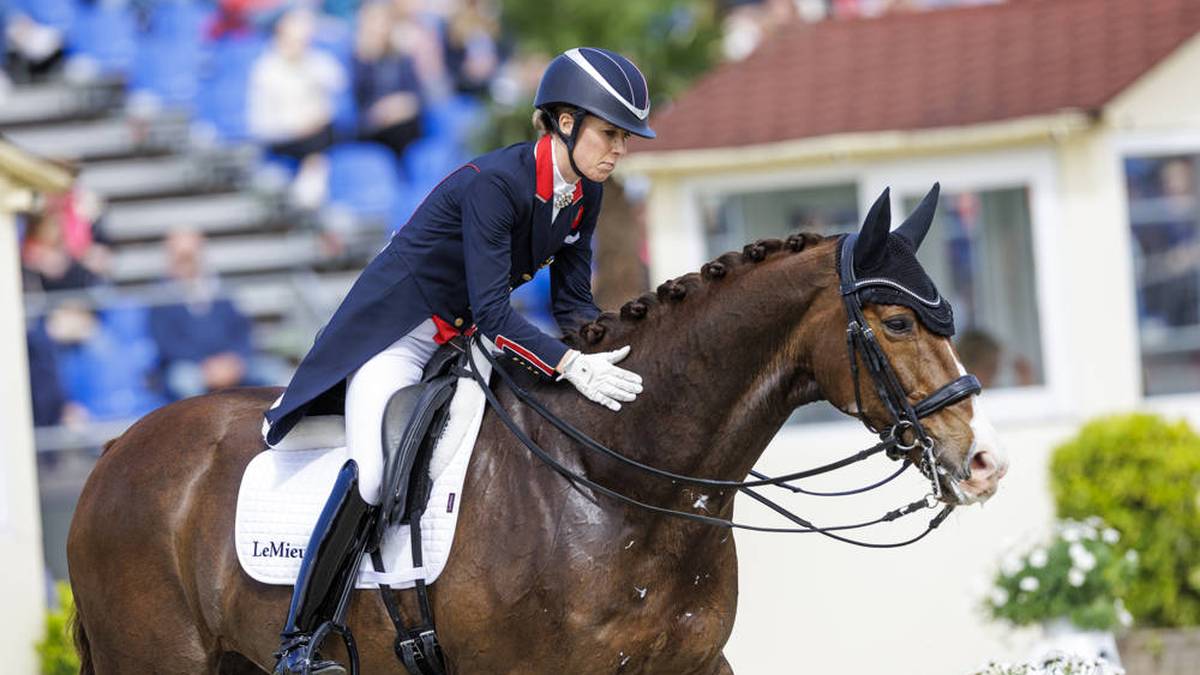 Star-Pferd von gefallener Reit-Ikone verkauft